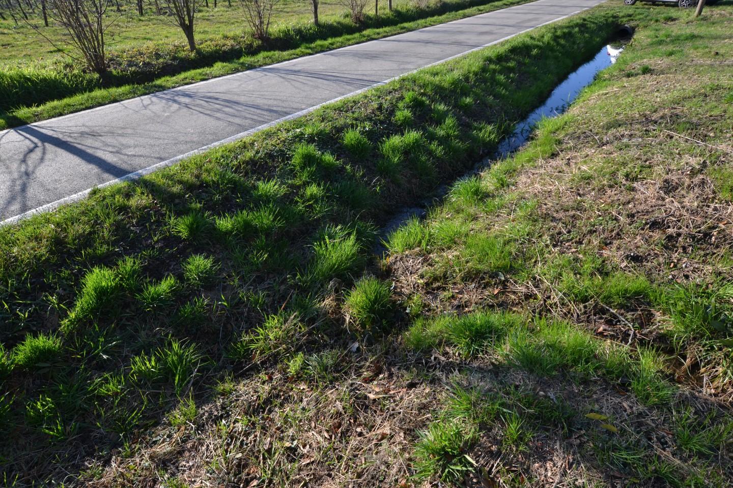 Rustico con giardino, Casale sul Sile lughignano