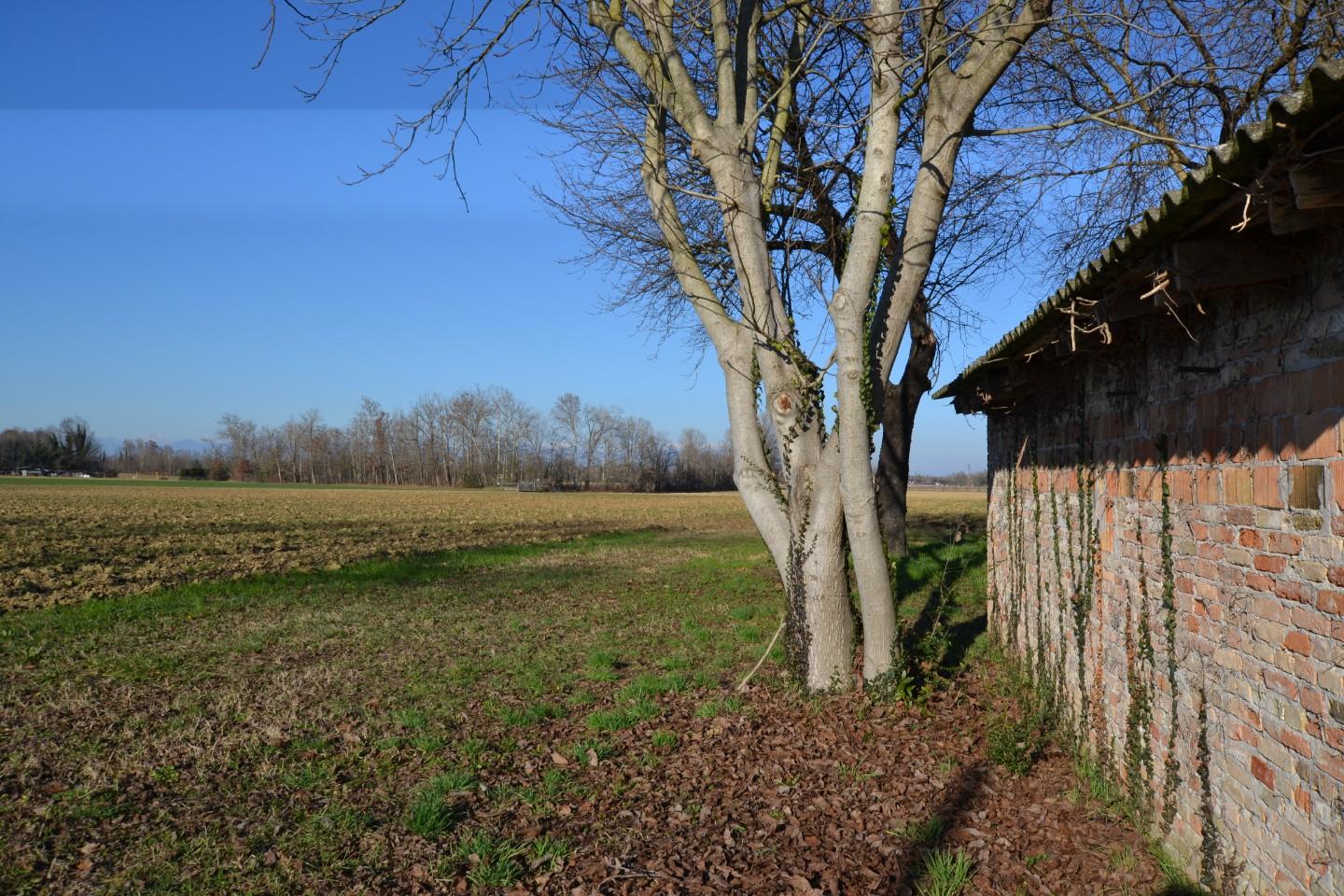 Rustico con giardino, Casale sul Sile lughignano