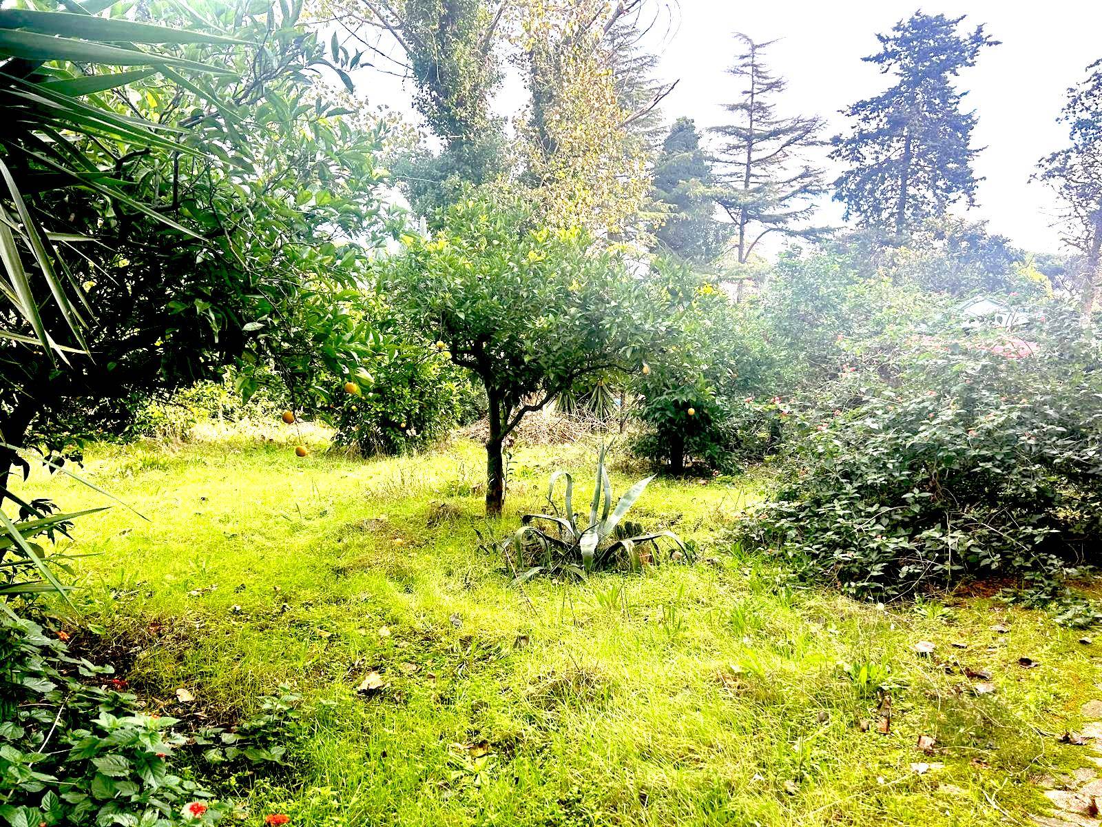 Appartamento in vendita a Fondi, Salto di Fondi