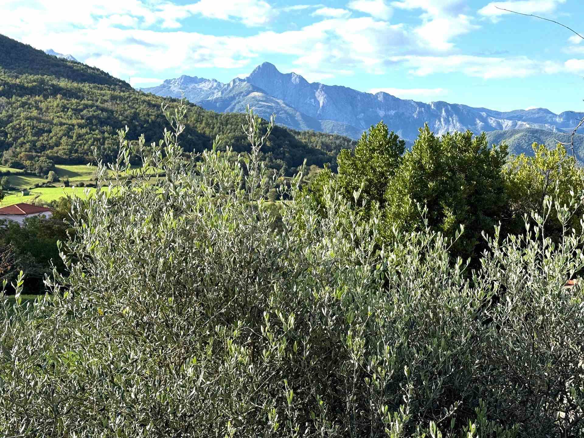 Casa indipendente con giardino a Casola in Lunigiana
