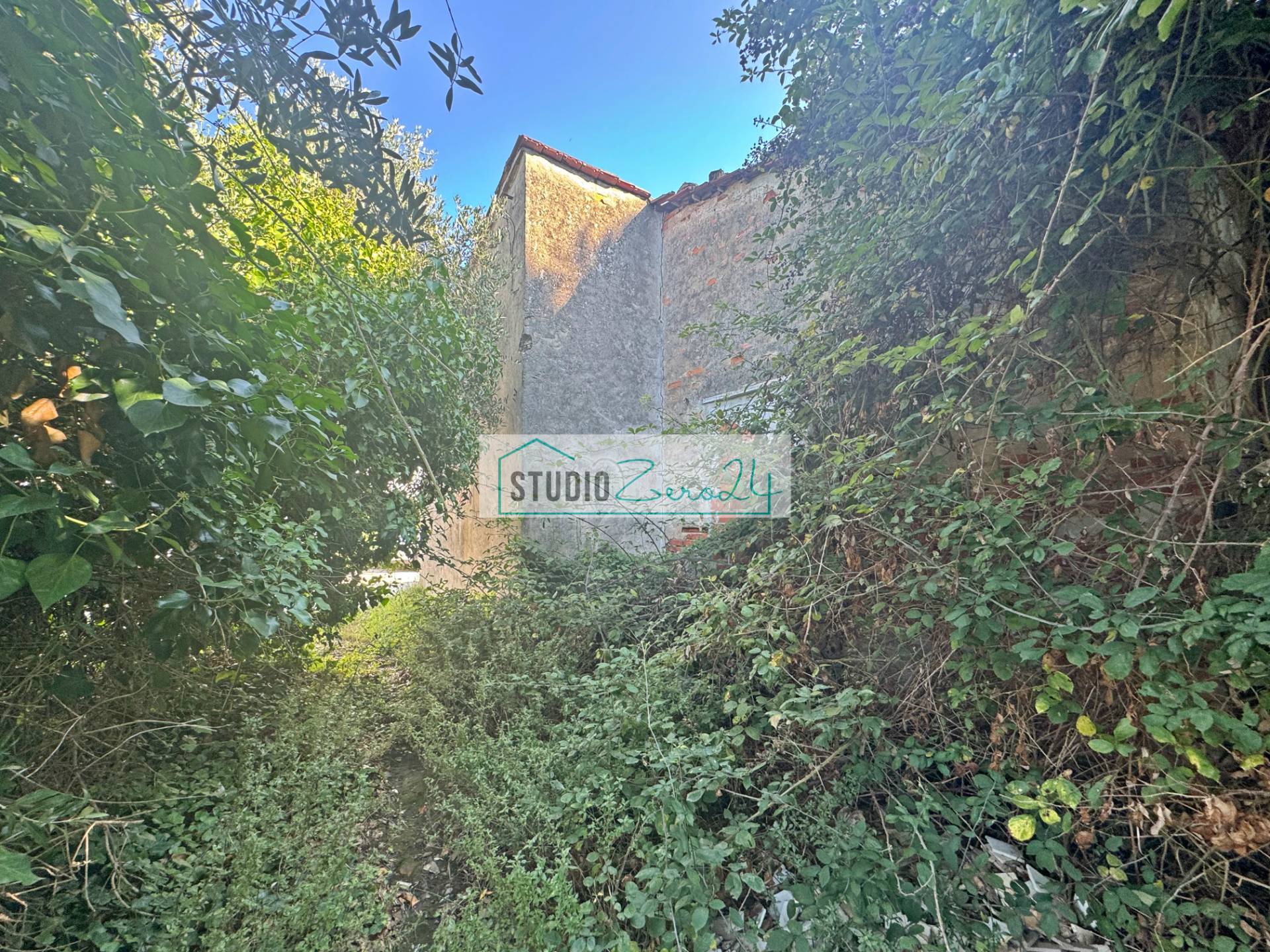 Casa singola in vendita a Viareggio, Bicchio