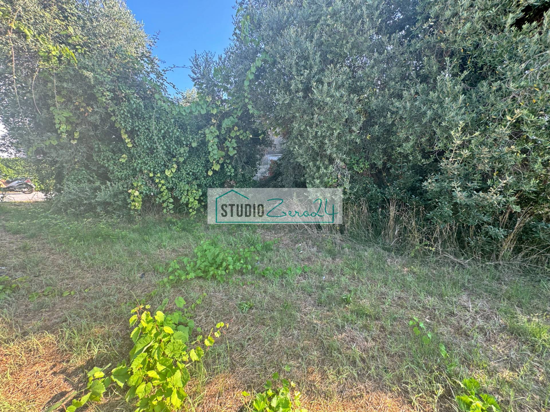 Casa singola in vendita a Viareggio, Bicchio
