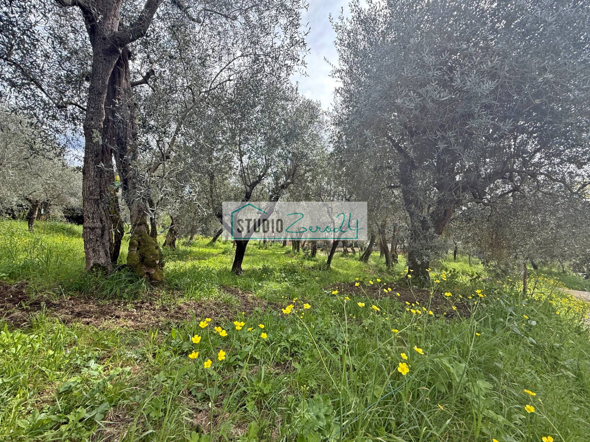 Terreno edificabile in vendita a Massarosa, Stiava