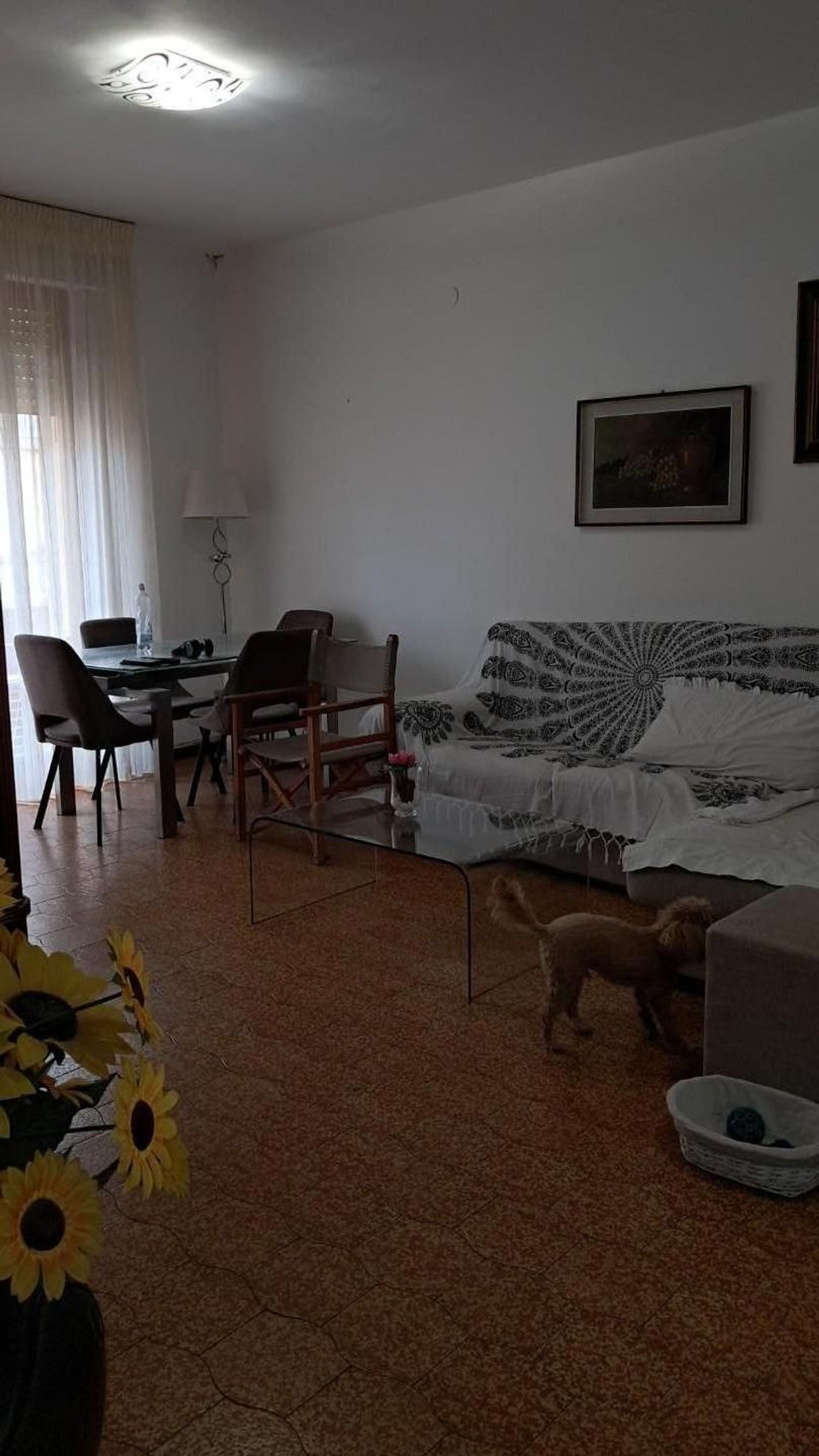 Appartamento con terrazzo a Cascina
