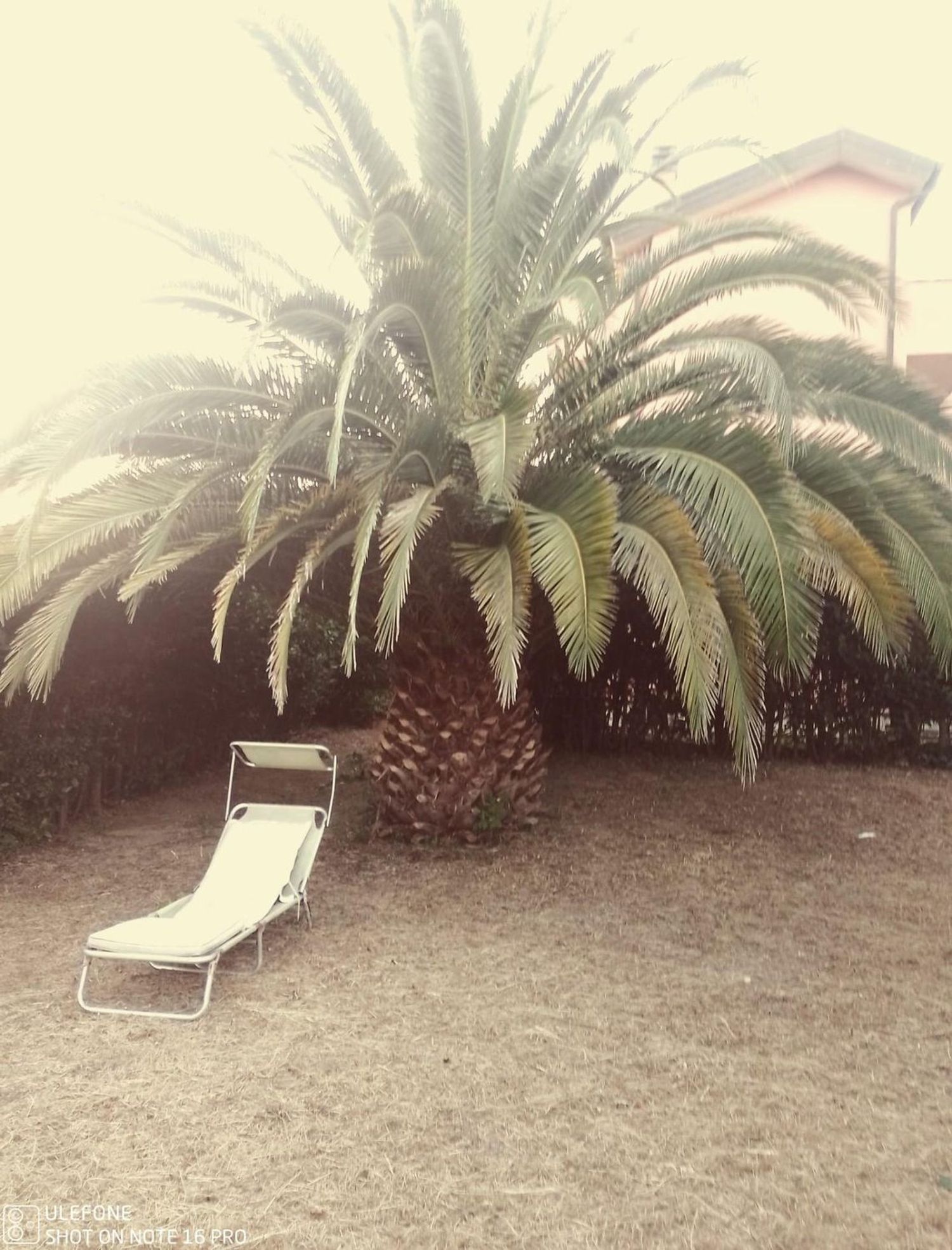 Villa con giardino a Calcinaia