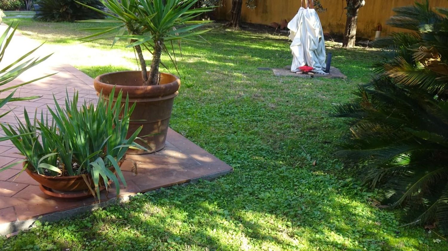 Villa con giardino a Cascina