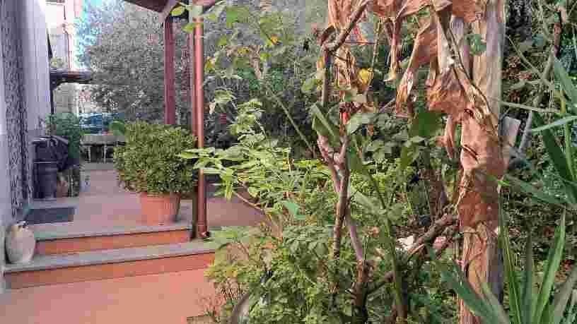 Villa con giardino, Cascina navacchio