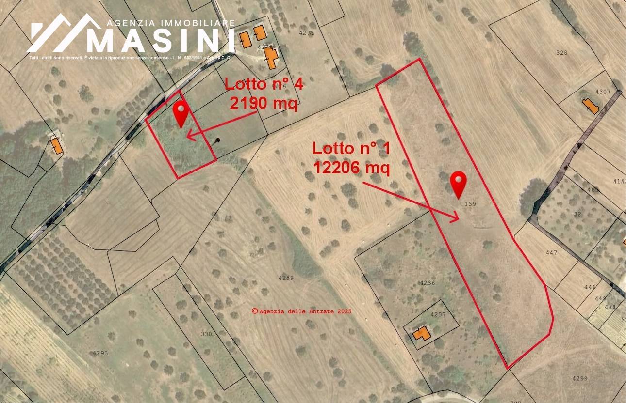 Terreno Agricolo in vendita a Castel Frentano