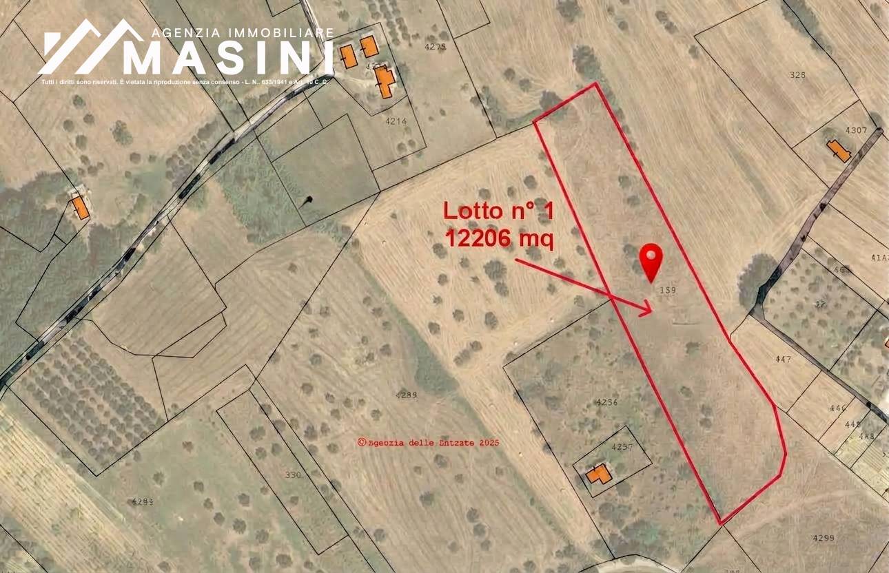 Terreno Agricolo in vendita a Castel Frentano
