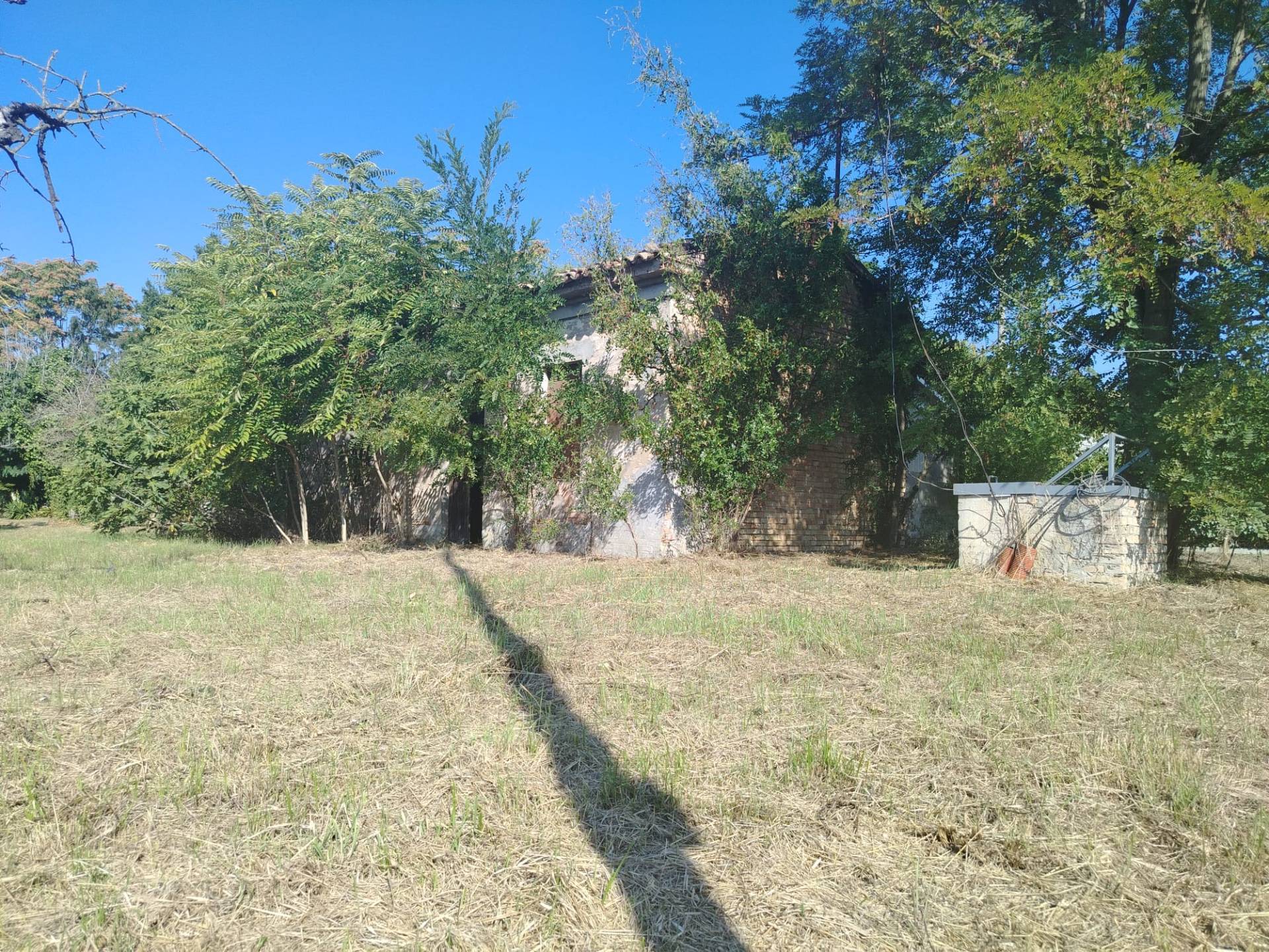 Terreno edificabile in vendita a Cesena, Pievesestina