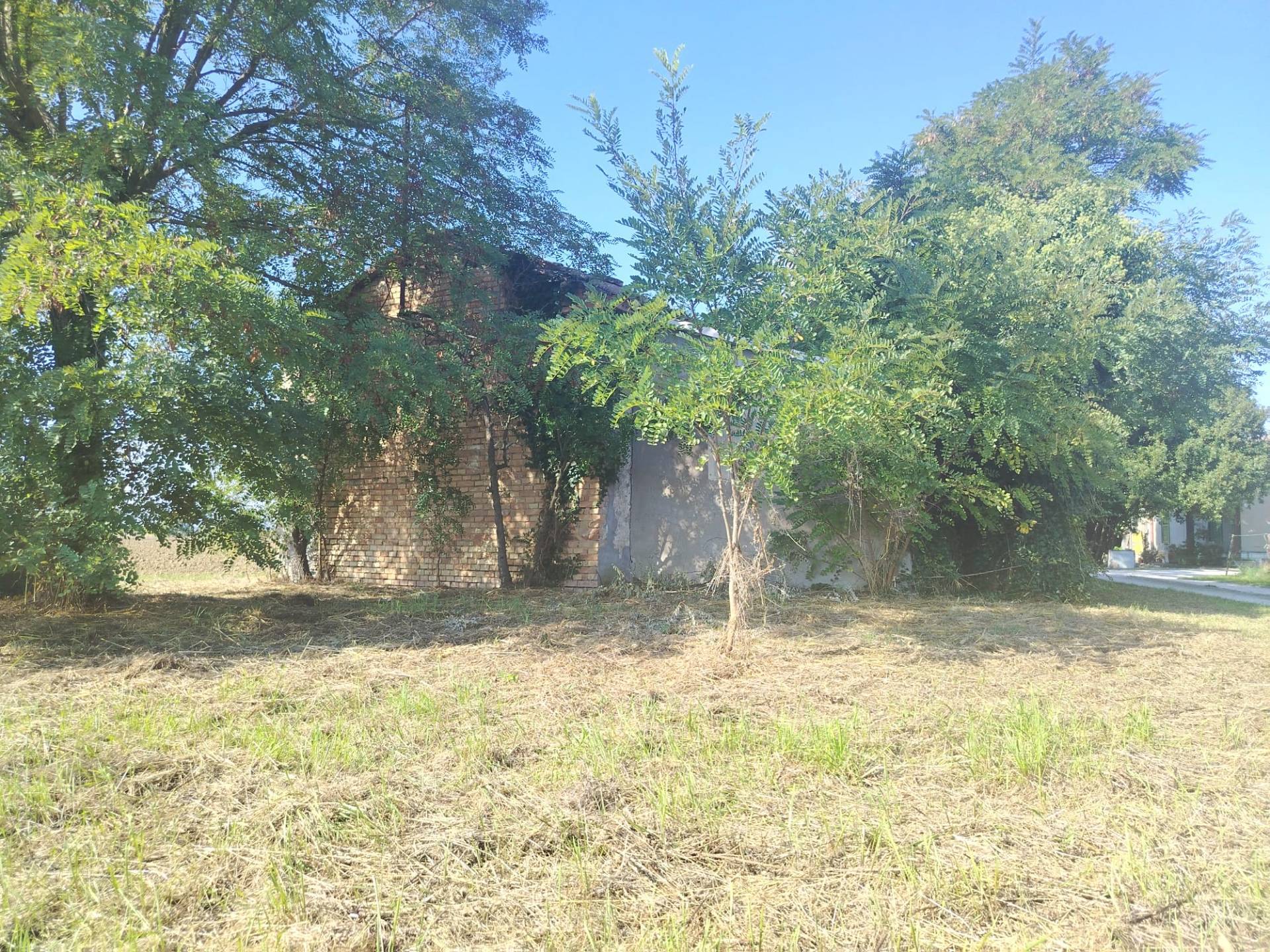Terreno edificabile in vendita a Cesena, Pievesestina
