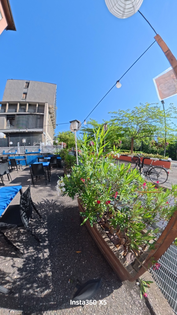 Attivit� commerciale Ristorante e pizzeria in vendita a Bolzano