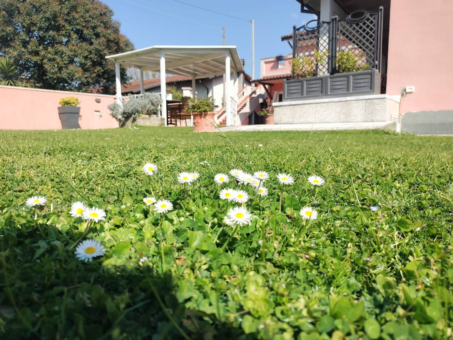 Villa Singola in vendita a Massa, Periferia