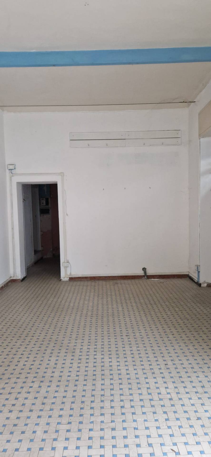 Complesso commerciale in affitto a Carrara