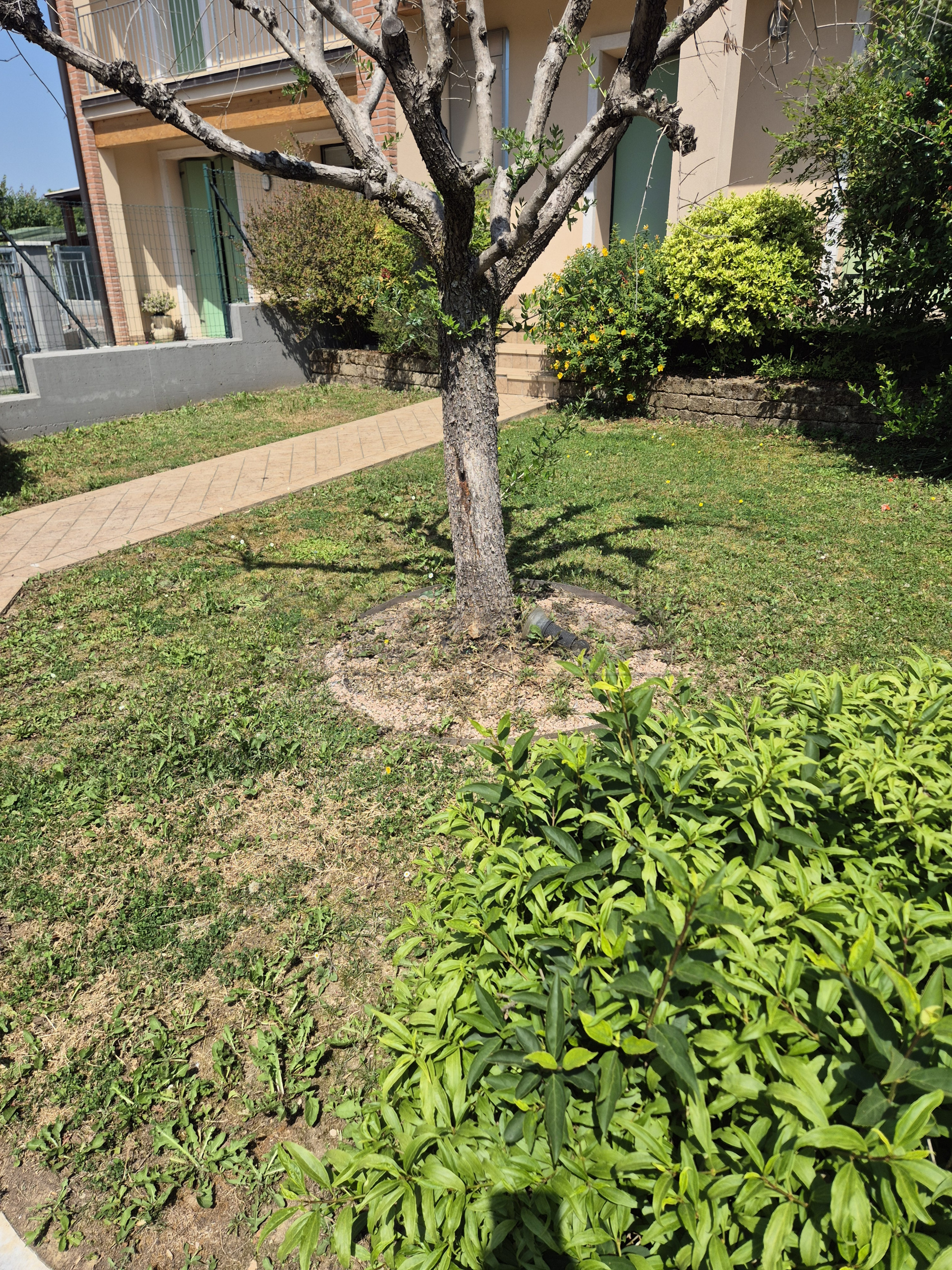 Casa indipendente con giardino in strada san giovanni 50, Vicenza