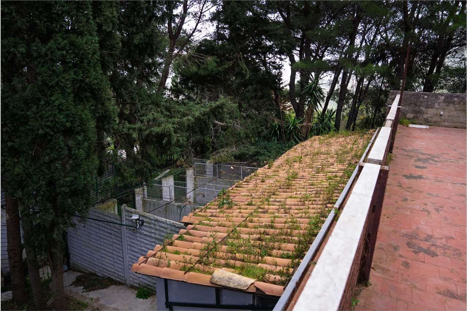 Villa in vendita a Montelepre