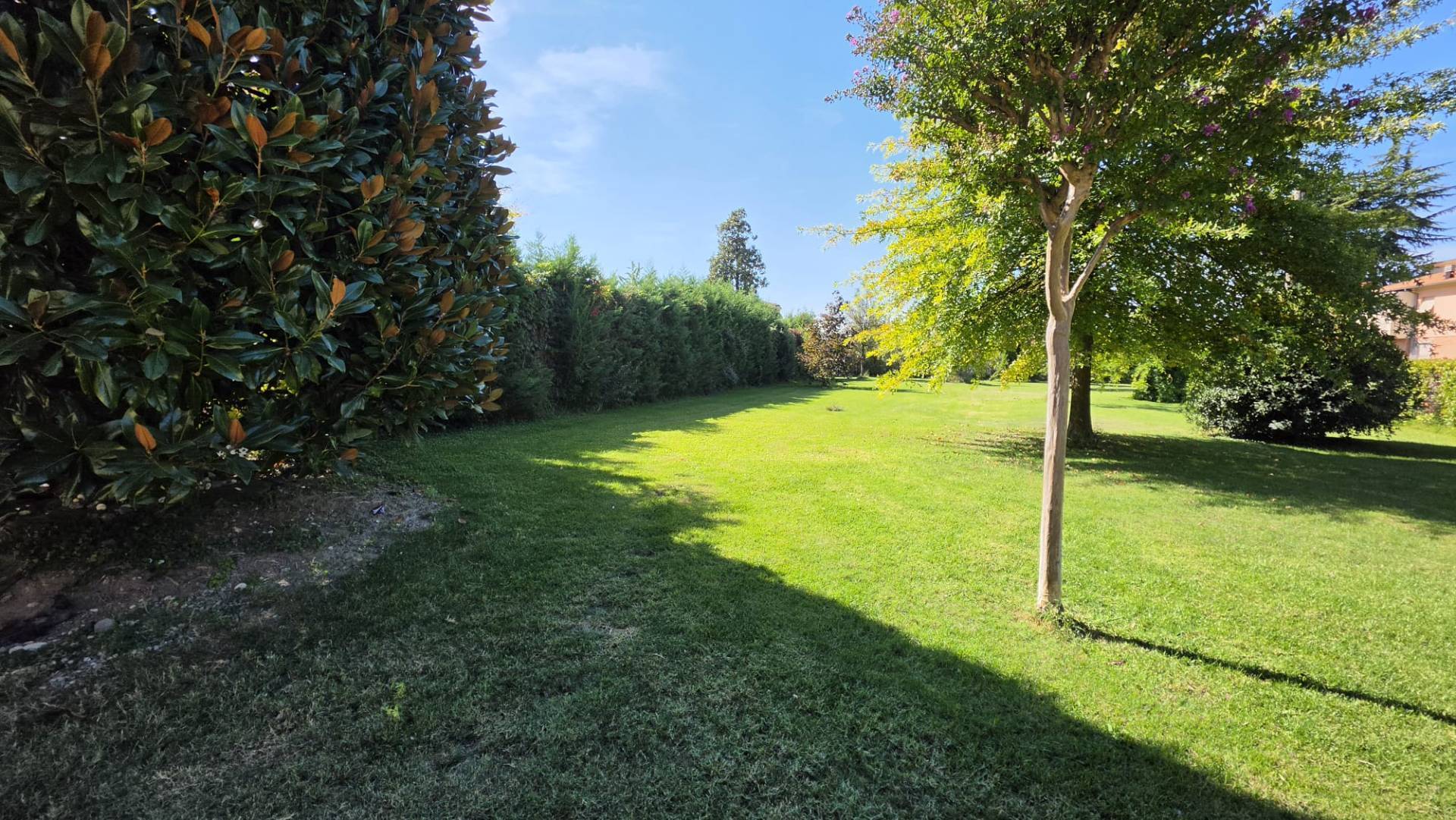 Appartamento con giardino in vendita a Vignola
