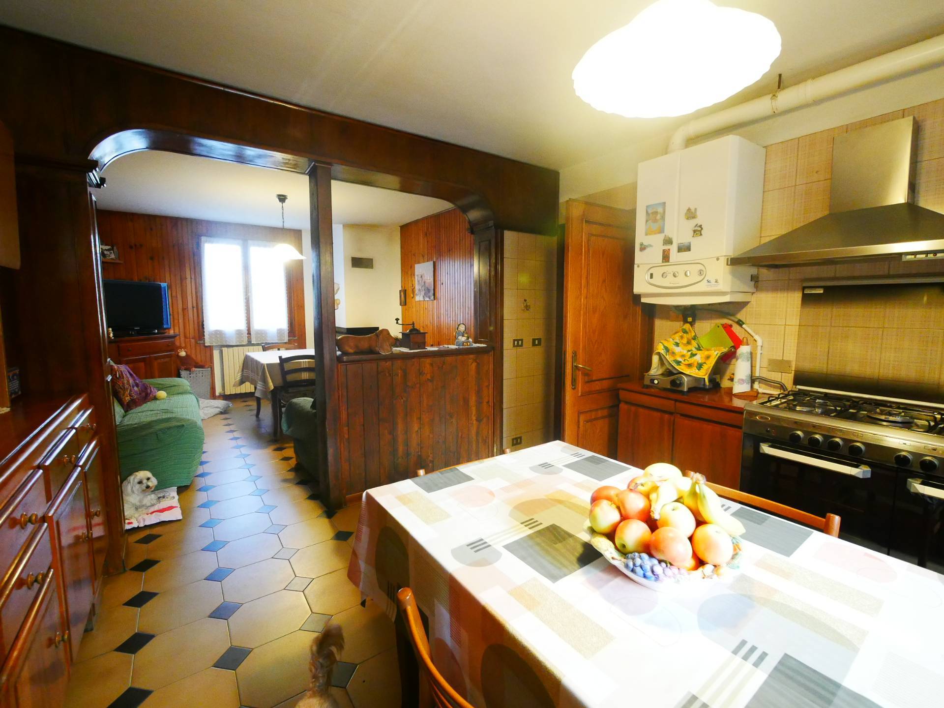 Appartamento con giardino in vendita a Vignola