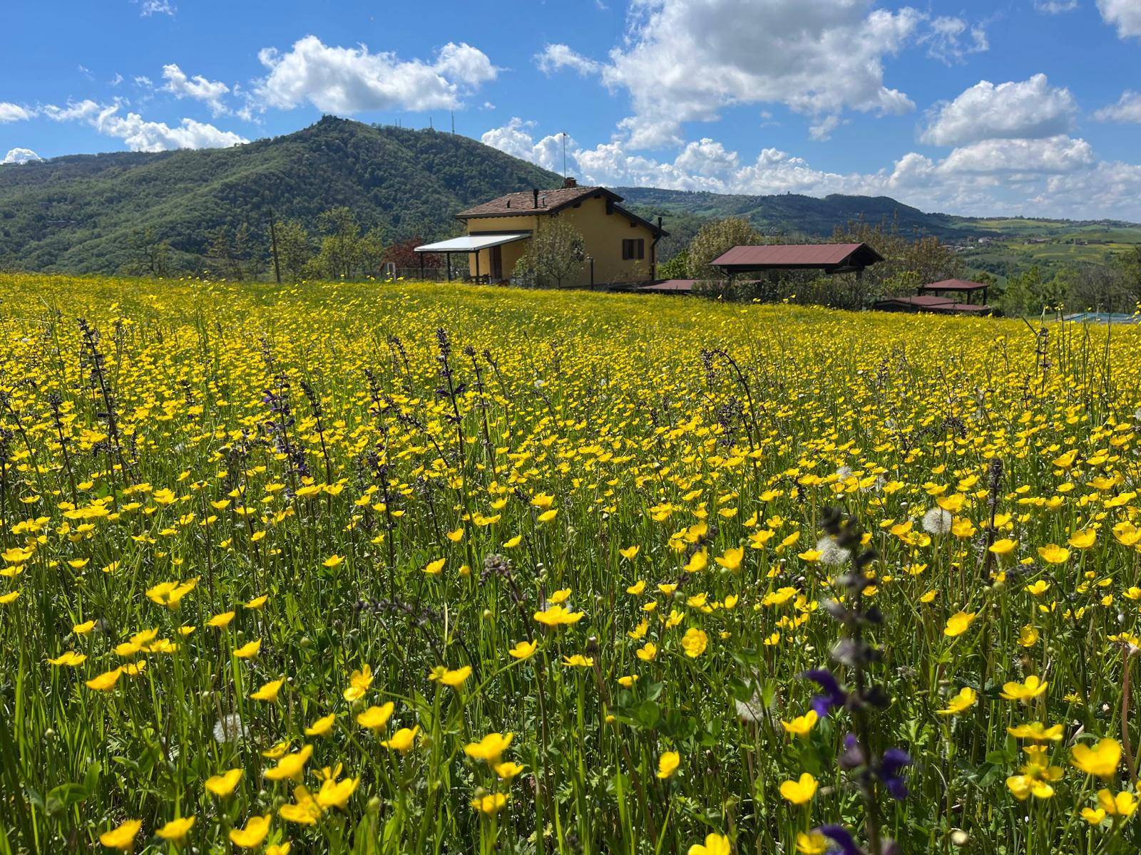 Villa in vendita a Serramazzoni