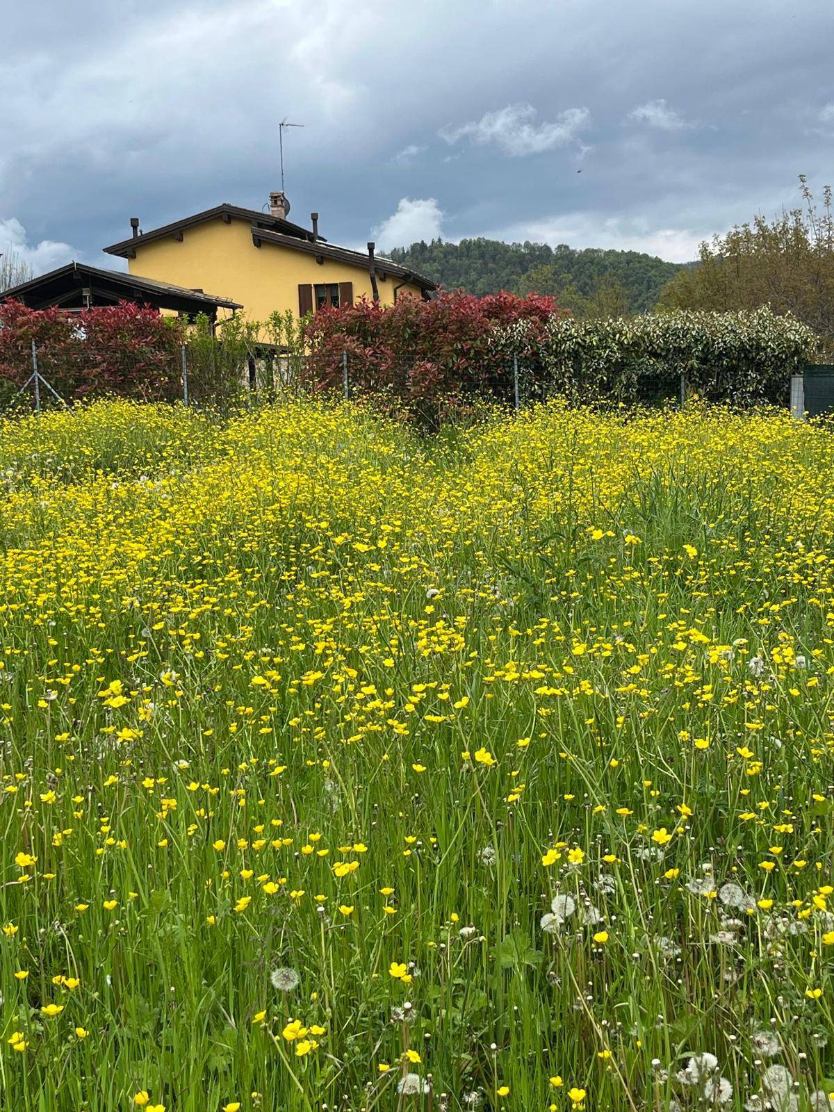 Villa in vendita a Serramazzoni