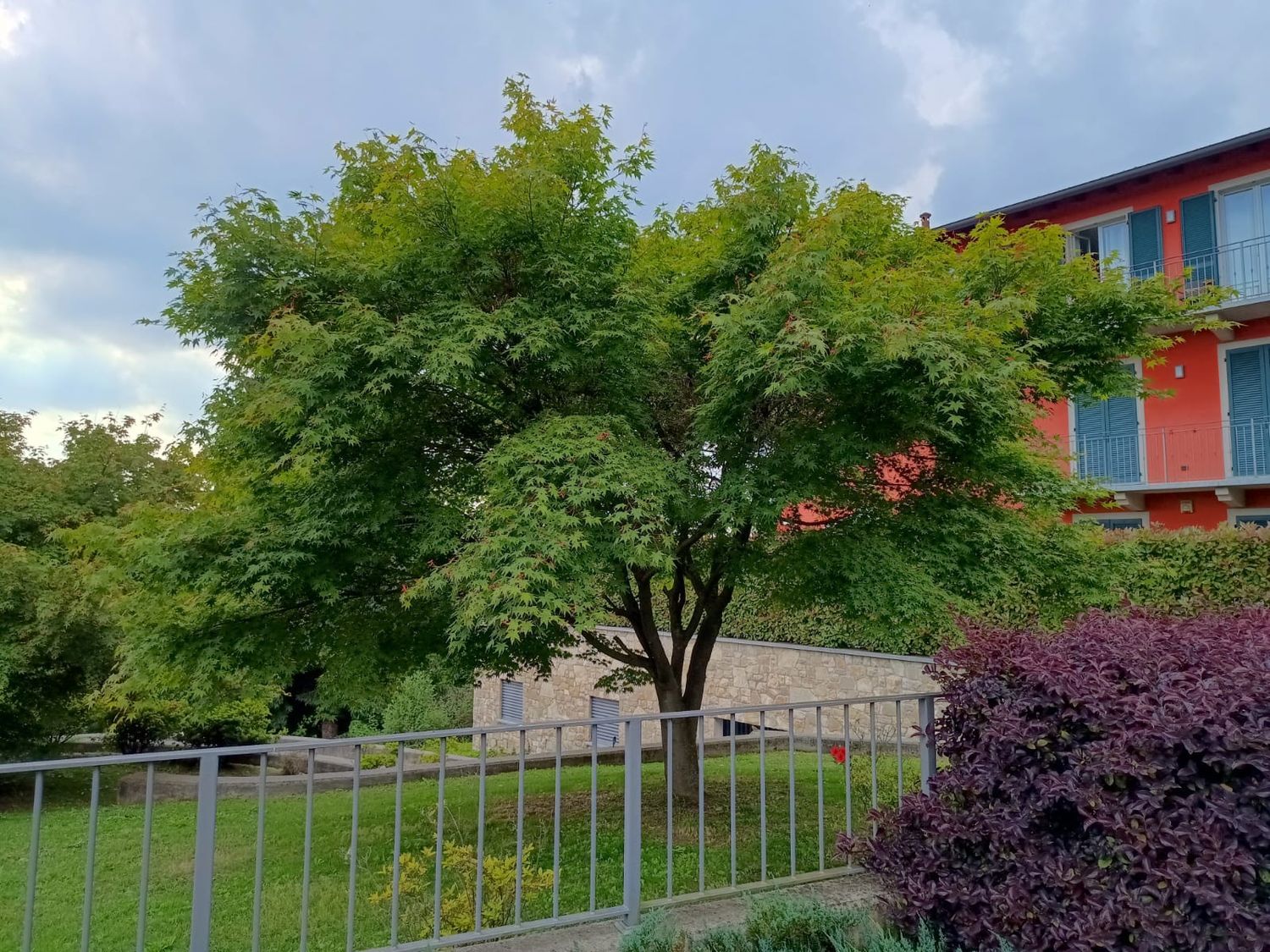 Appartamento in vendita a Montorfano