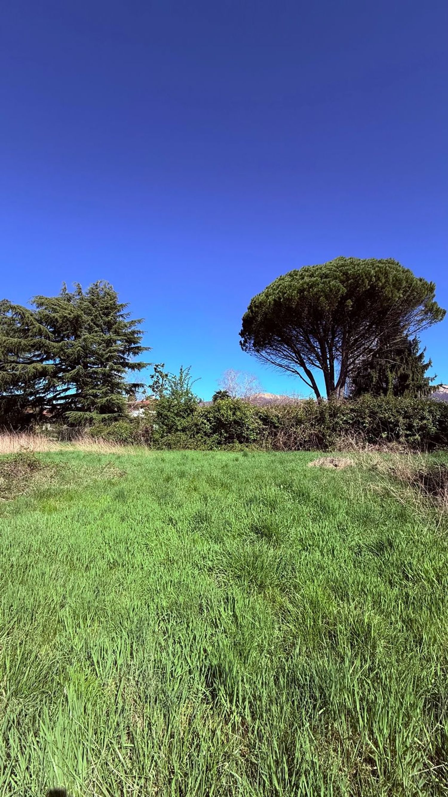 Terreno Residenziale in vendita a Montorfano