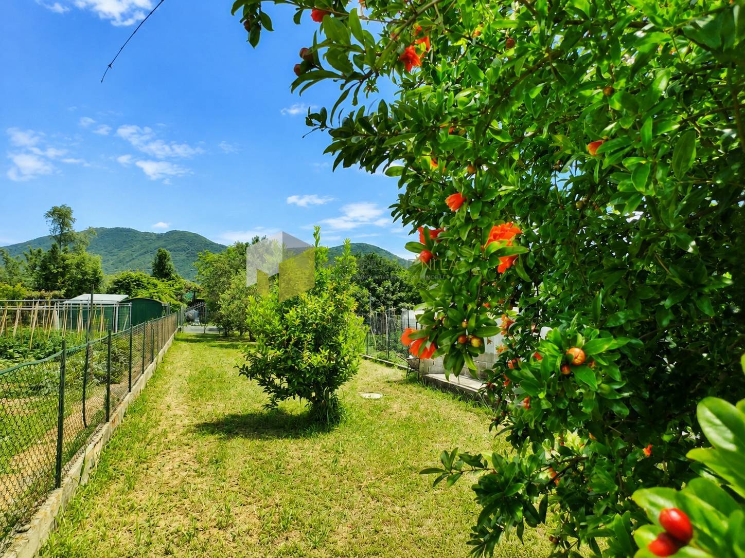 Casa indipendente con giardino a San Giuliano Terme