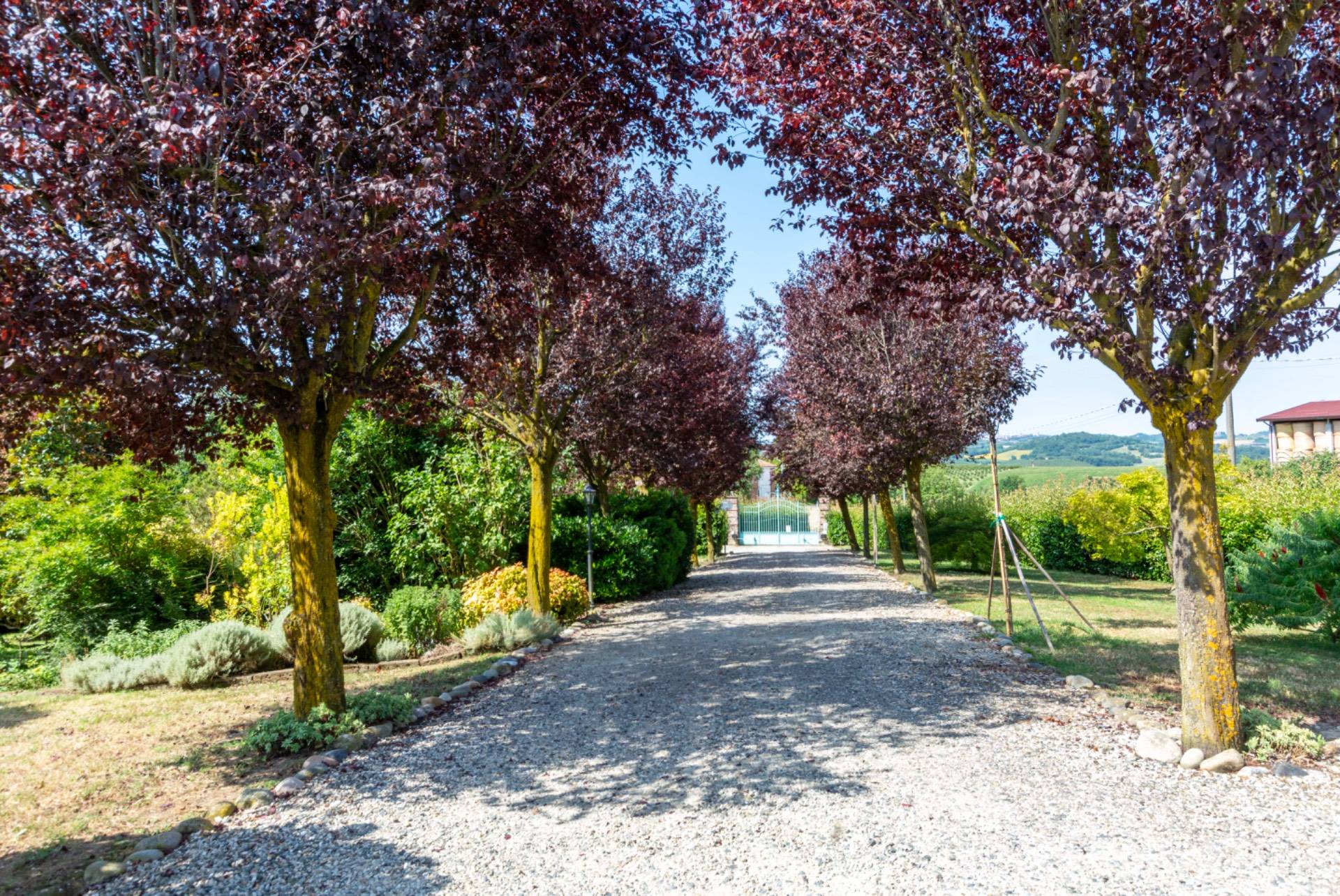 Villa in vendita a Tonco