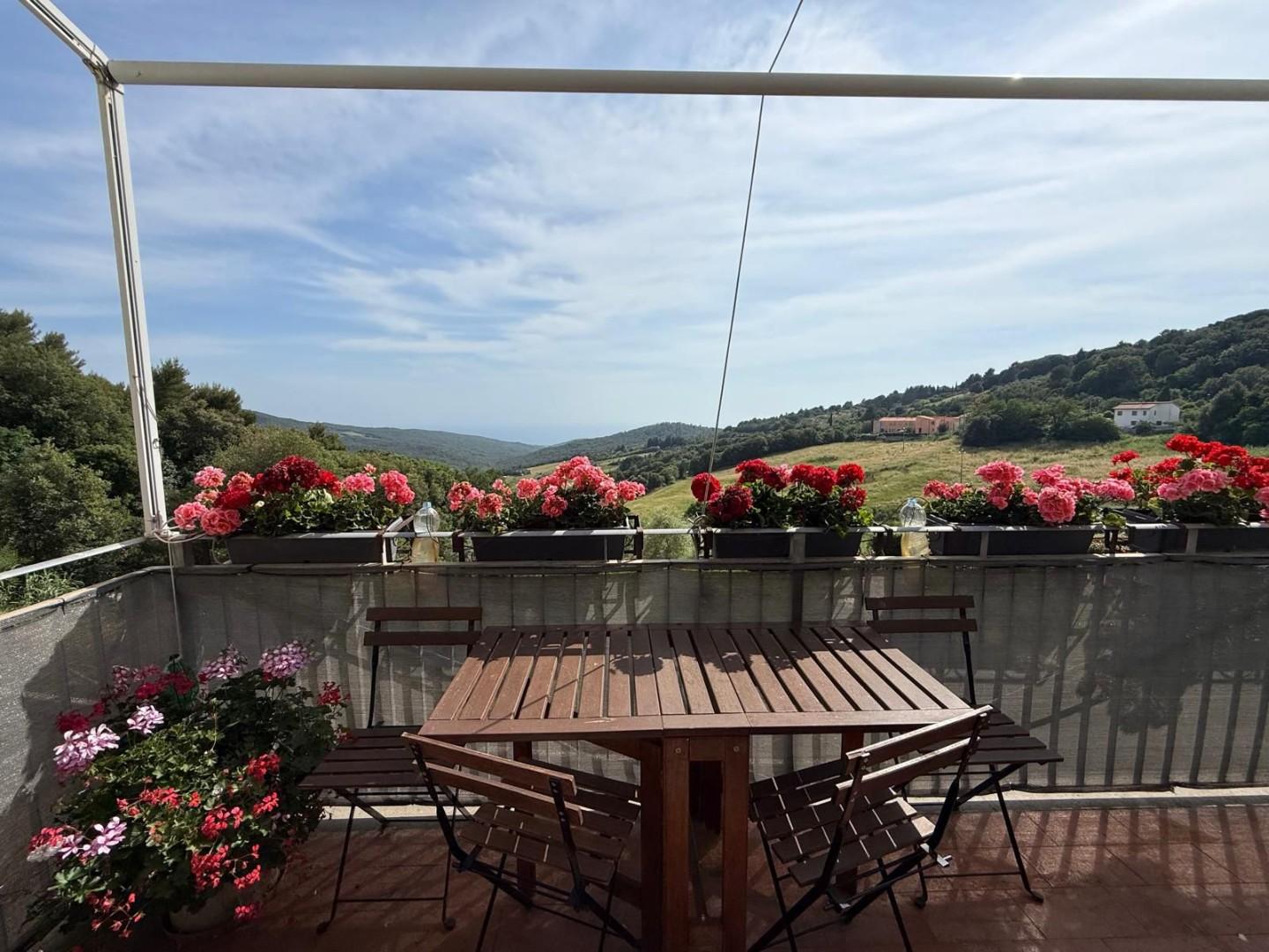 Trilocale con giardino, Rosignano Marittimo nibbiaia