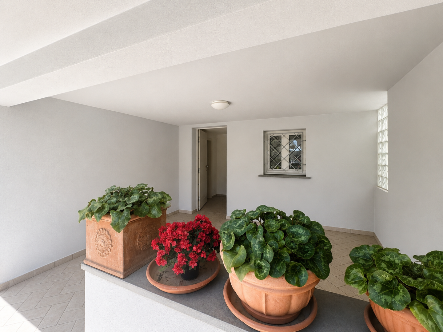 Villa con giardino, Cecina marina