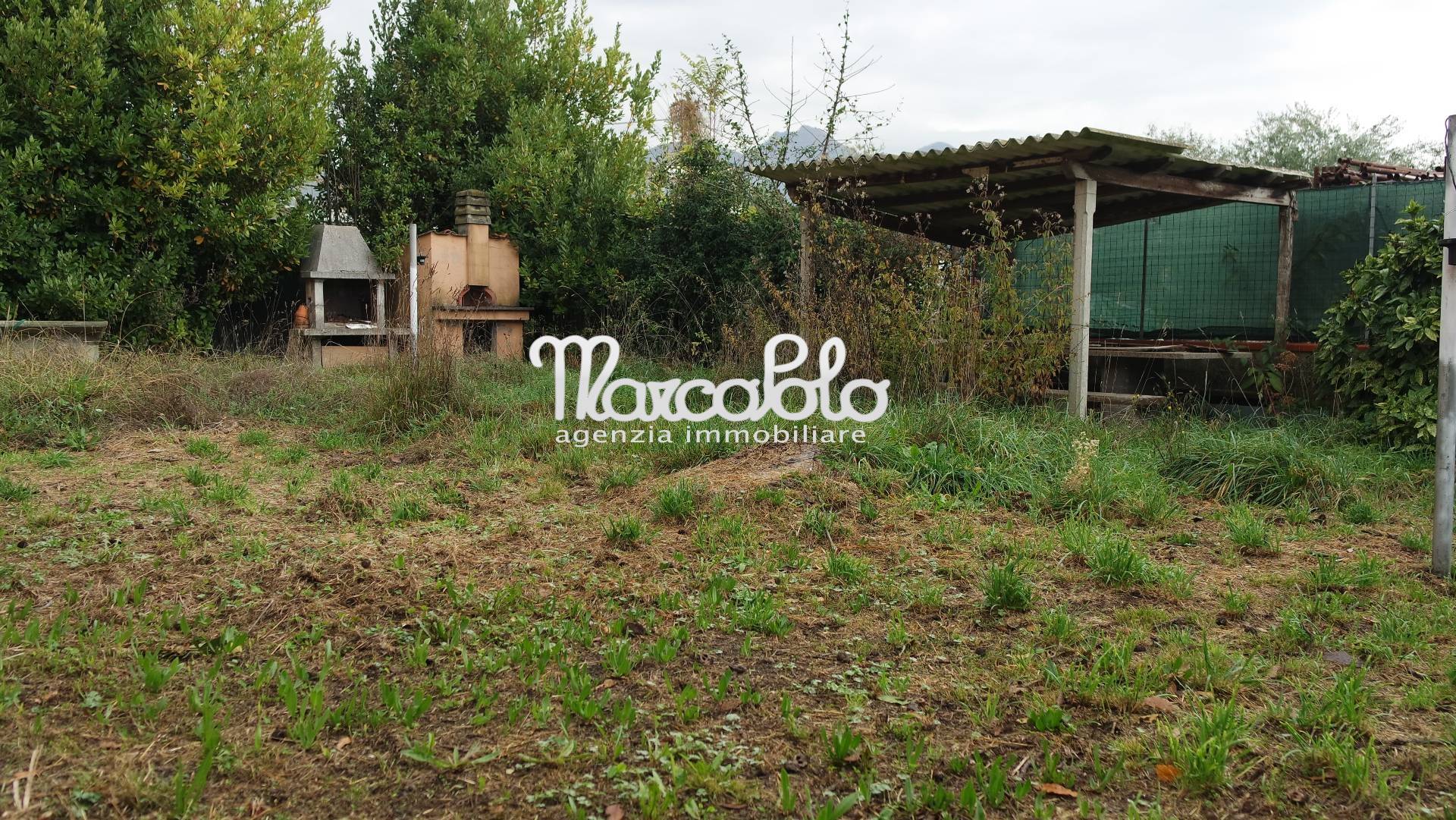 immagine annuncio 2 di 6