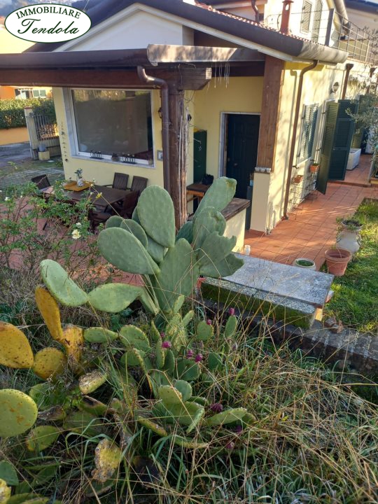 Casa indipendente in affitto, Castelnuovo Magra molicciara