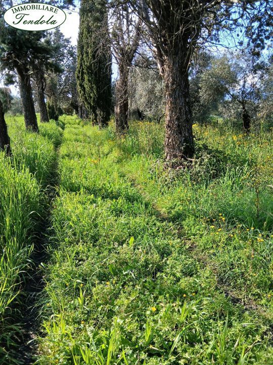 Rustico in vendita, Sarzana san lazzaro