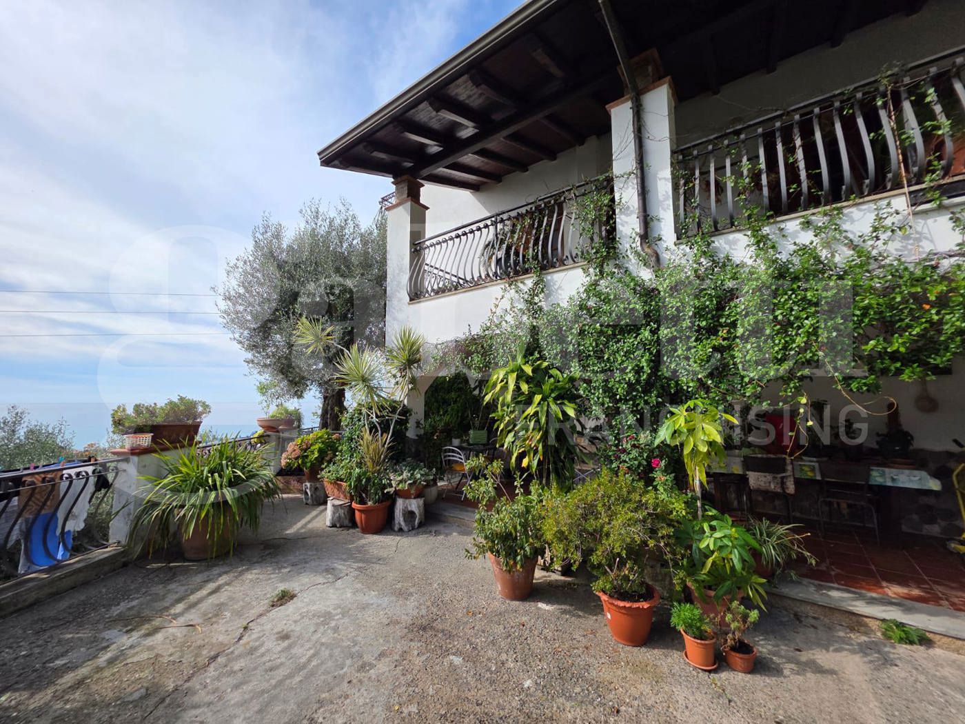 Villa con giardino a Cetraro