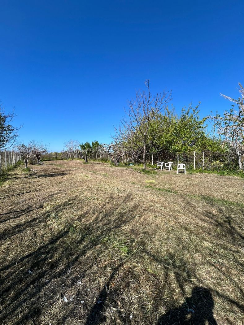 Terreno Agricolo in vendita a Scalea