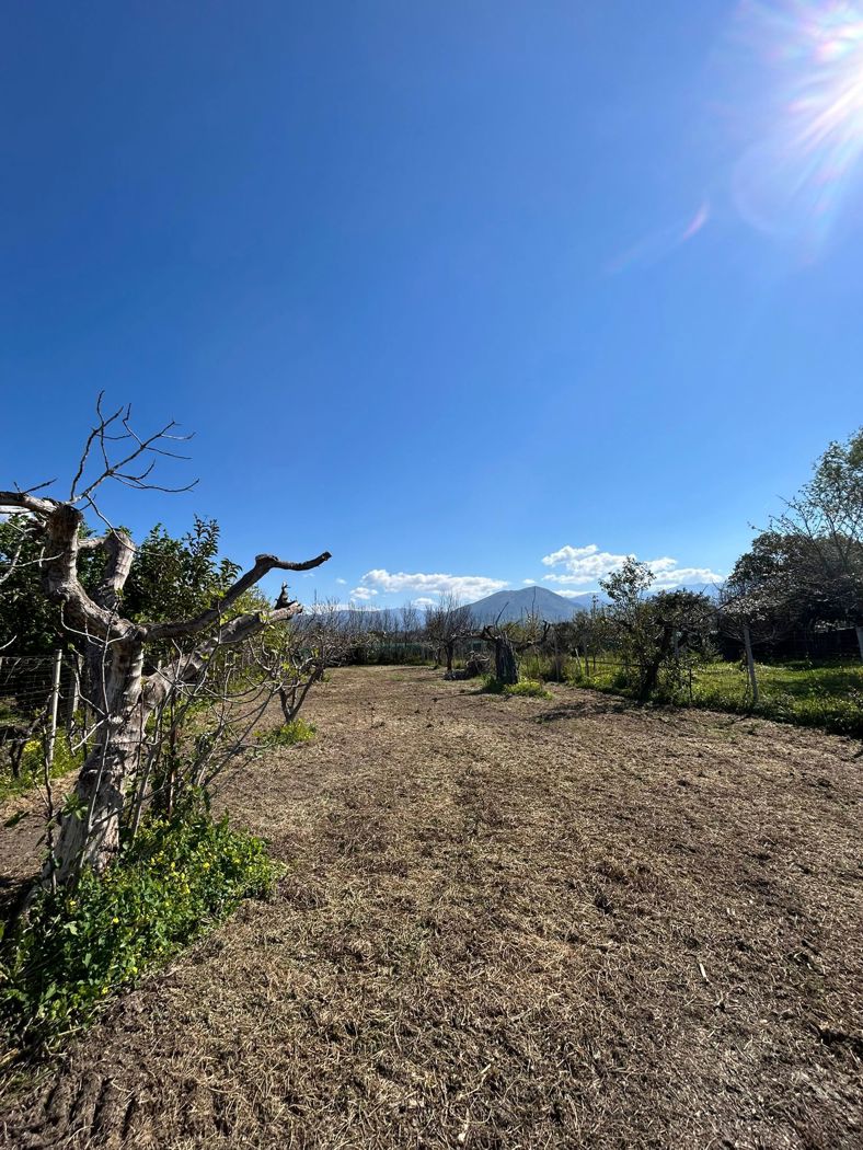 Terreno Agricolo in vendita a Scalea
