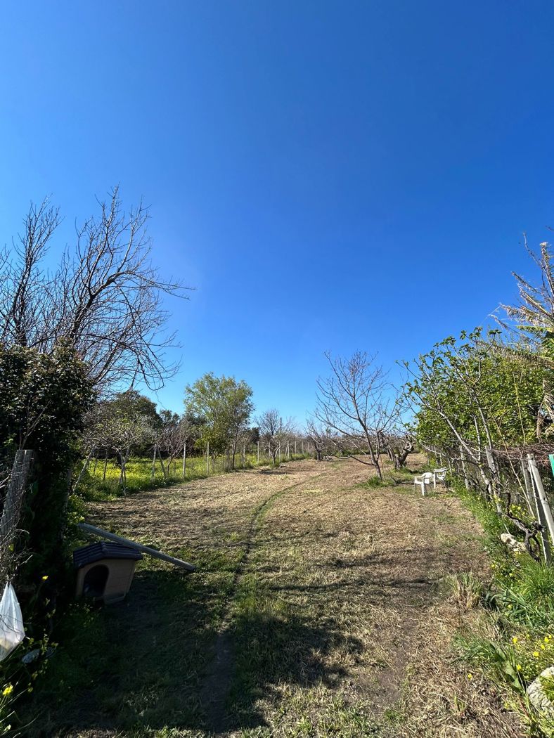 Terreno Agricolo in vendita a Scalea