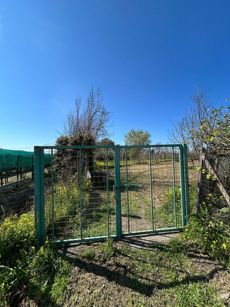 Terreno Agricolo in vendita a Scalea