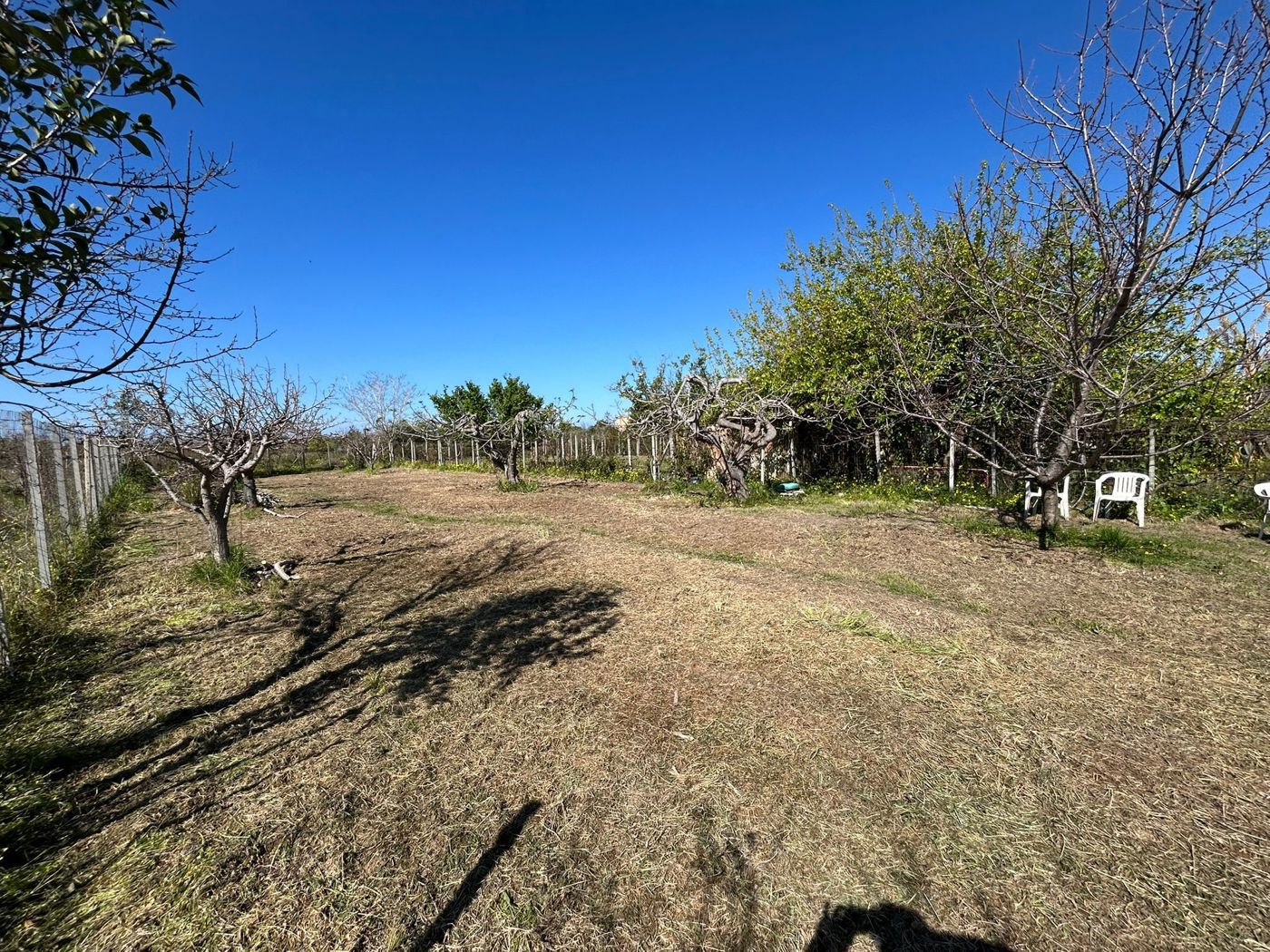 Terreno Agricolo in vendita a Scalea