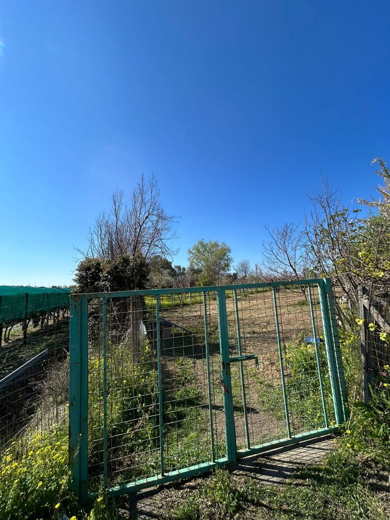 Terreno Agricolo in vendita a Scalea