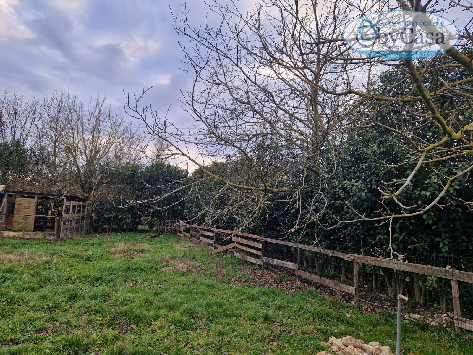 Terreno Agricolo in vendita a Vejano, vejano