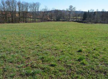 Terreno Agricolo in vendita a Gorla Maggiore