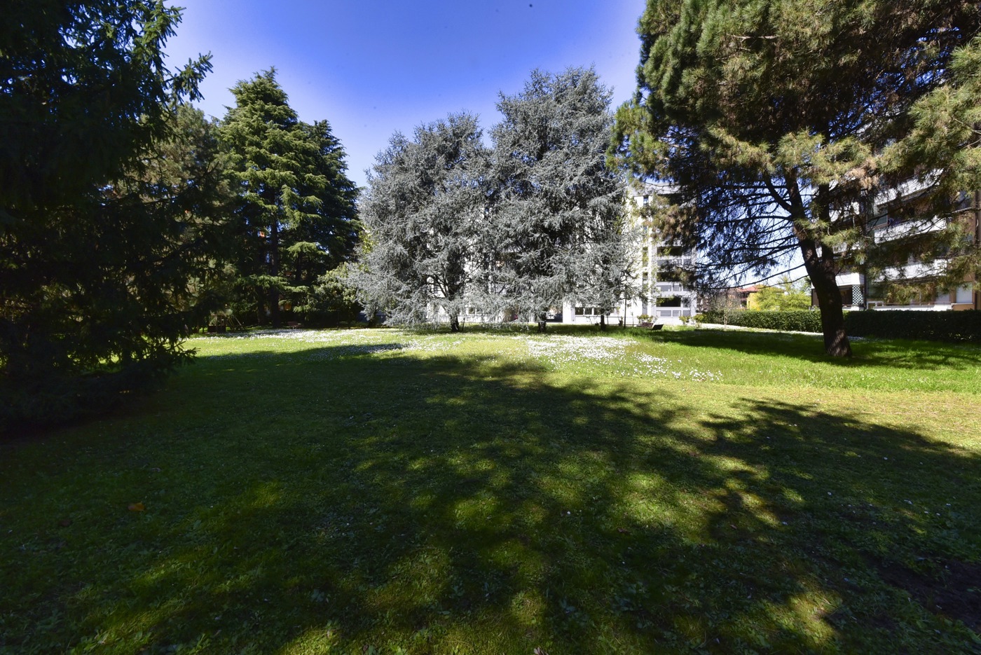 Trilocale in vendita a Paderno Dugnano