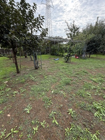 Terreno Agricolo in vendita a Paderno Dugnano