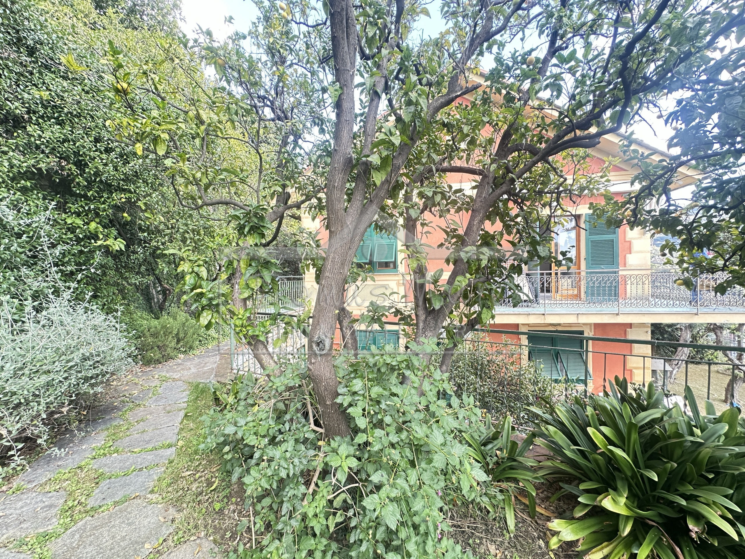 Casa indipendente vista mare in salvo d'acquisto 70, Recco