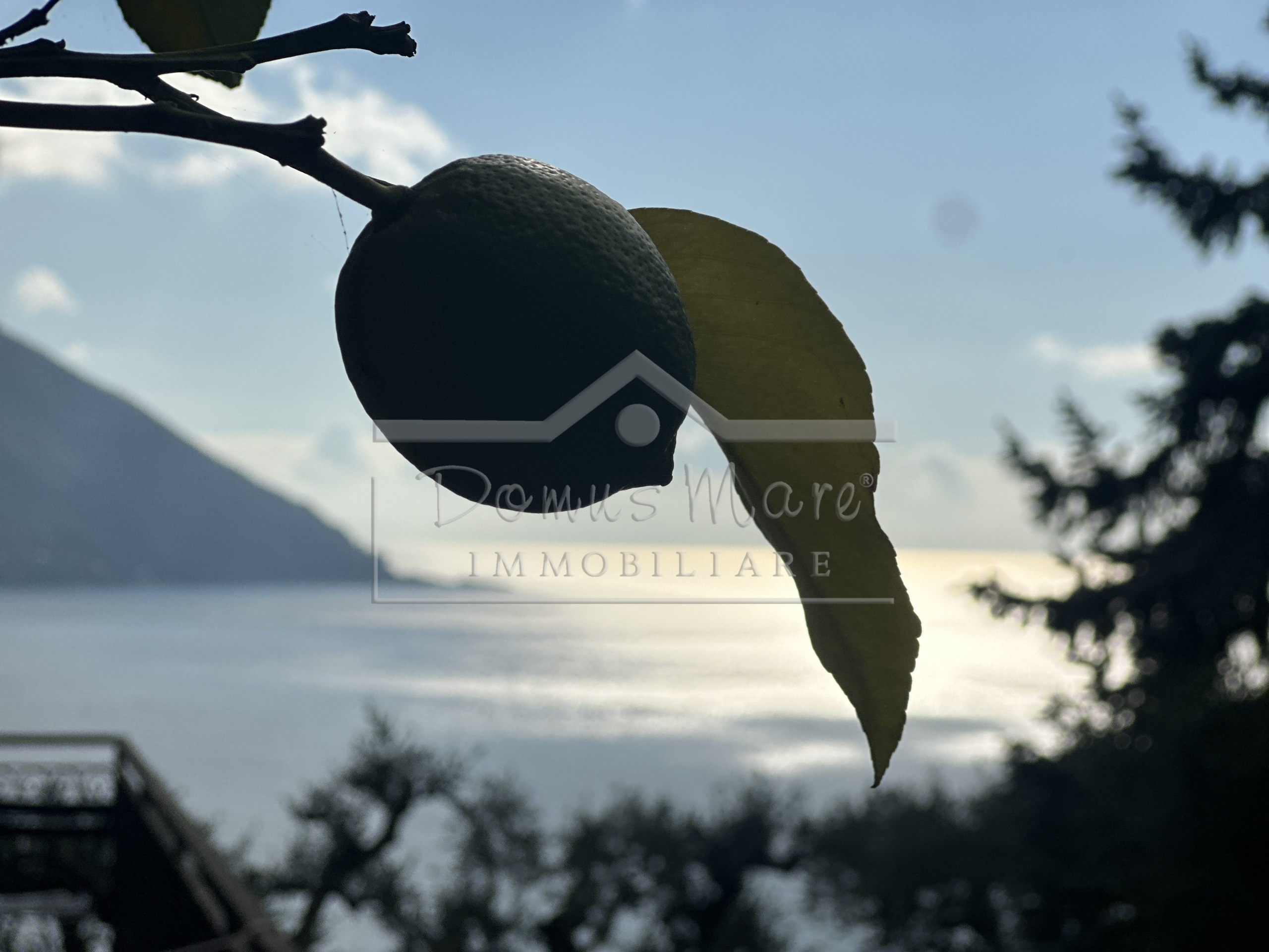 Casa indipendente vista mare in salvo d'acquisto 70, Recco