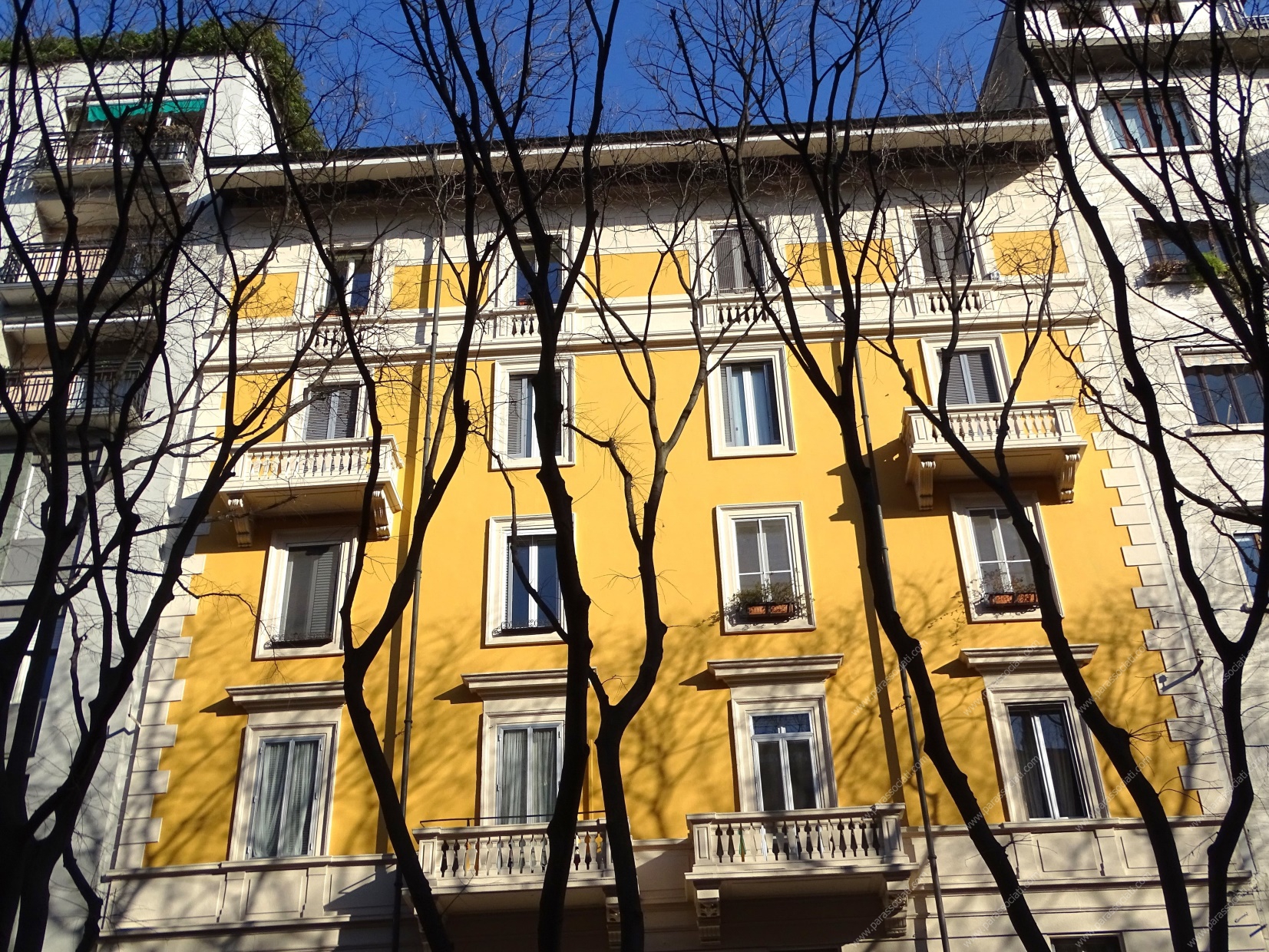 Trilocale in affitto, Milano citt studi
