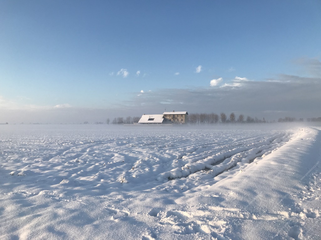 Rustico in vendita a Cerano