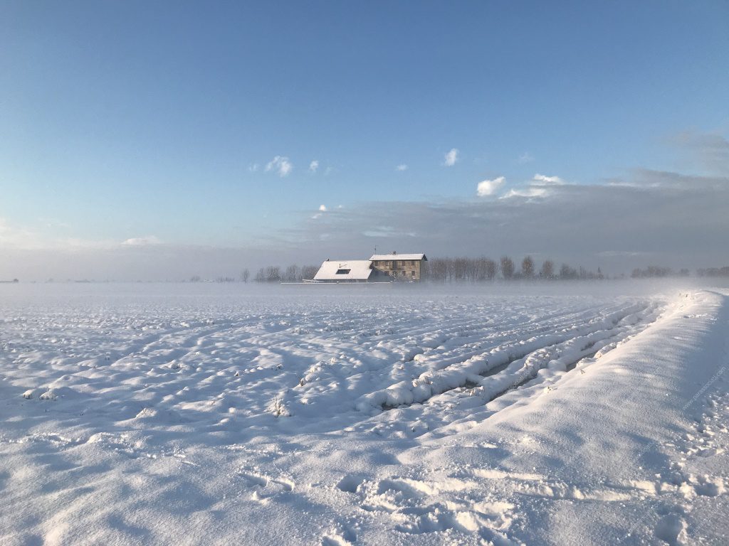 Rustico in vendita a Cerano