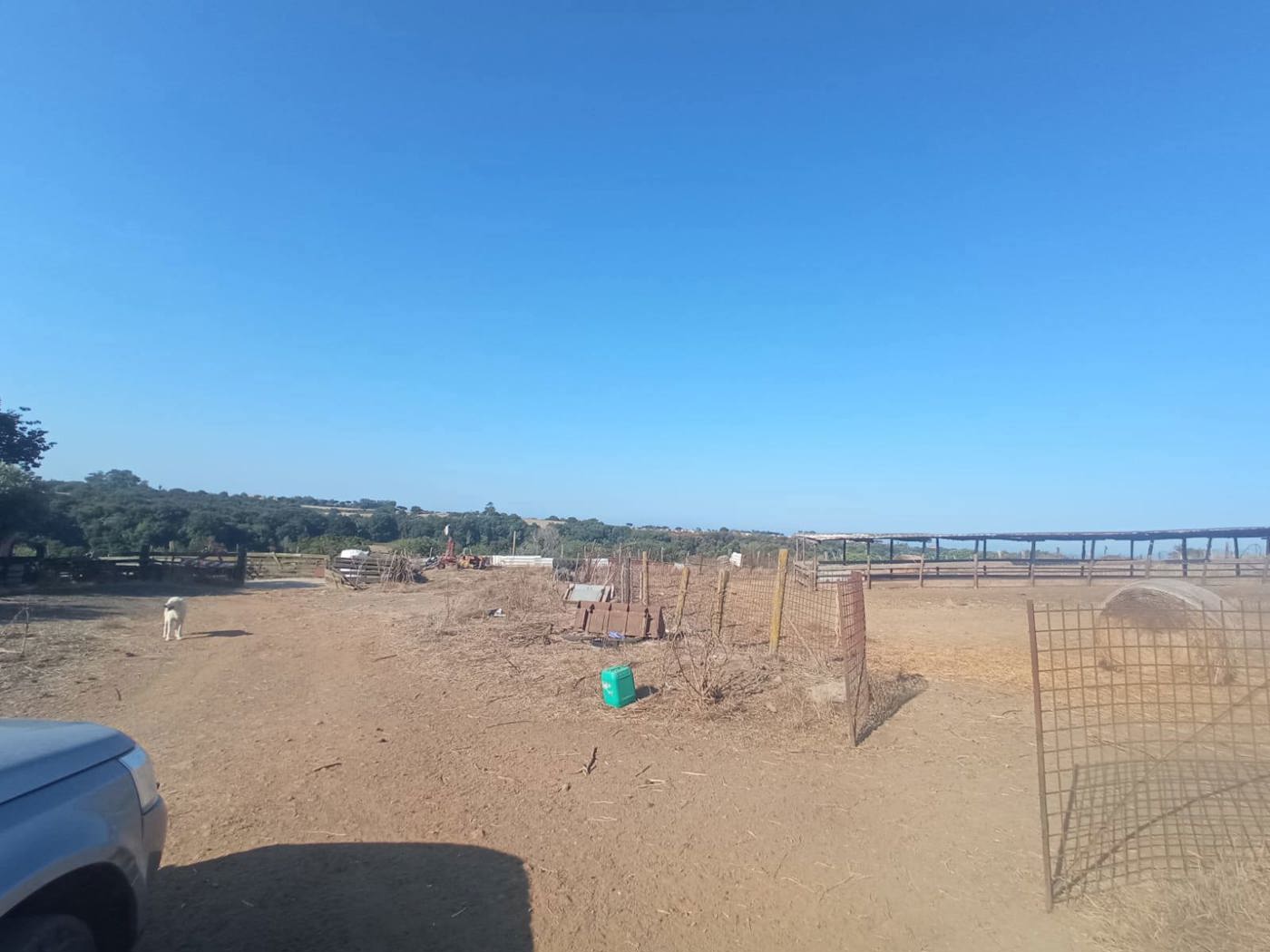 Rustico in vendita a Aprilia